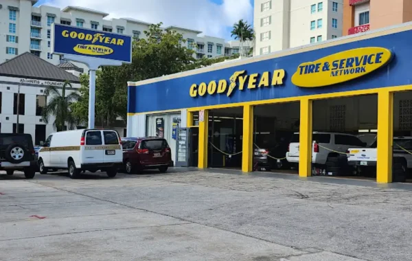 Goodyear-WPB2